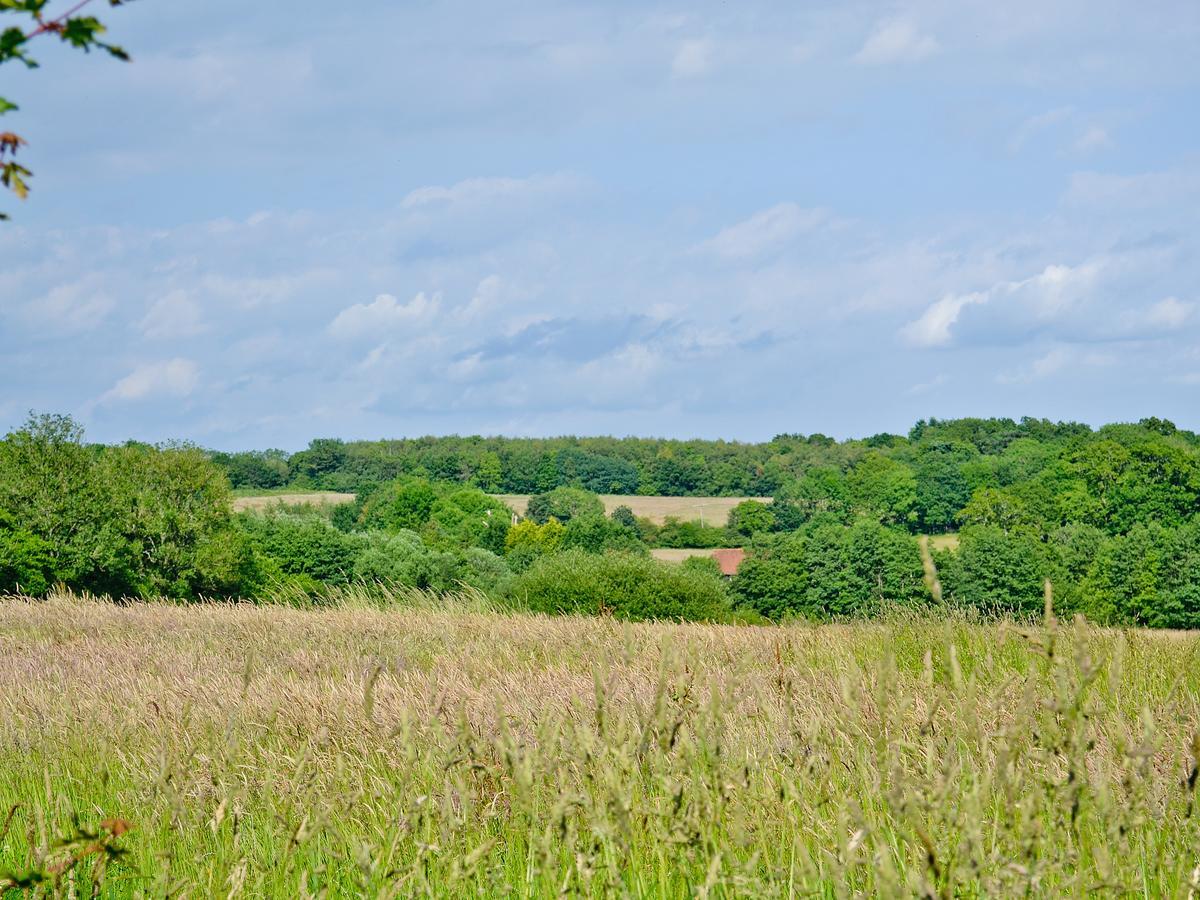 Willa Tiger Horsted Keynes Zewnętrze zdjęcie